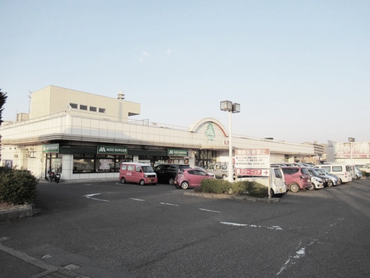 駐車場のあるショッピングセンターいちい信夫ヶ丘店。モスバーガーも見えます。駐車場にはたくさんの車が停まっています。
