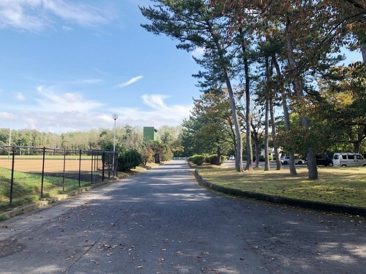 舗装された道の両側に野球場と木々のある公園の風景。右奥には車も見えます。