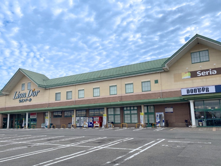 薄黄色の外壁に緑の屋根が特徴的なリオンドール滝沢店の外観。広い駐車場やSeriaとDOUTORの看板が見えます。