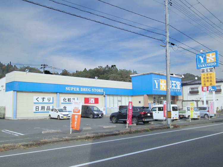 青と黄色が特徴的な薬王堂盛岡宮古西店の外観。建物左側にはくすり、化粧品、日用品、食品、酒等が書かれています。駐車場には数台の車が停められています。