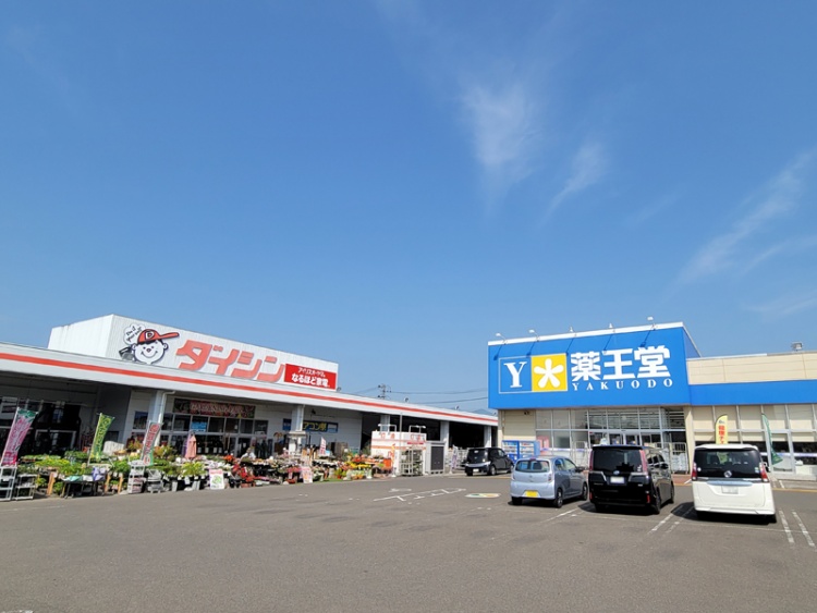 左側にはダイシン大富店と右側には薬王堂宮城大富店の外観。広い駐車場が見えます。