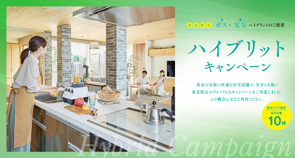 ハイブリットモデル募集キャンペーン イメージ