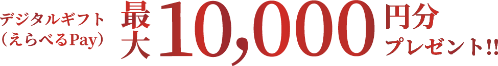 デジタルギフト（えらべるPay）10,000円分プレゼント!!