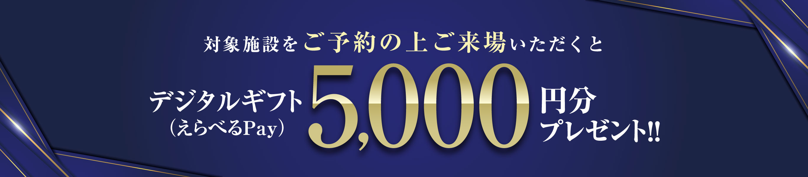 対象施設をご予約の上ご来場いただくと、デジタルギフト（えらべるPay）最大5,000円分プレゼント!!