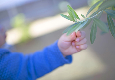 can be variableイメージ画像。小さな子どもの手が植物の葉を優しくつかんでいる様子。柔らかな光が差し込み、自然と触れ合う瞬間が描かれています。