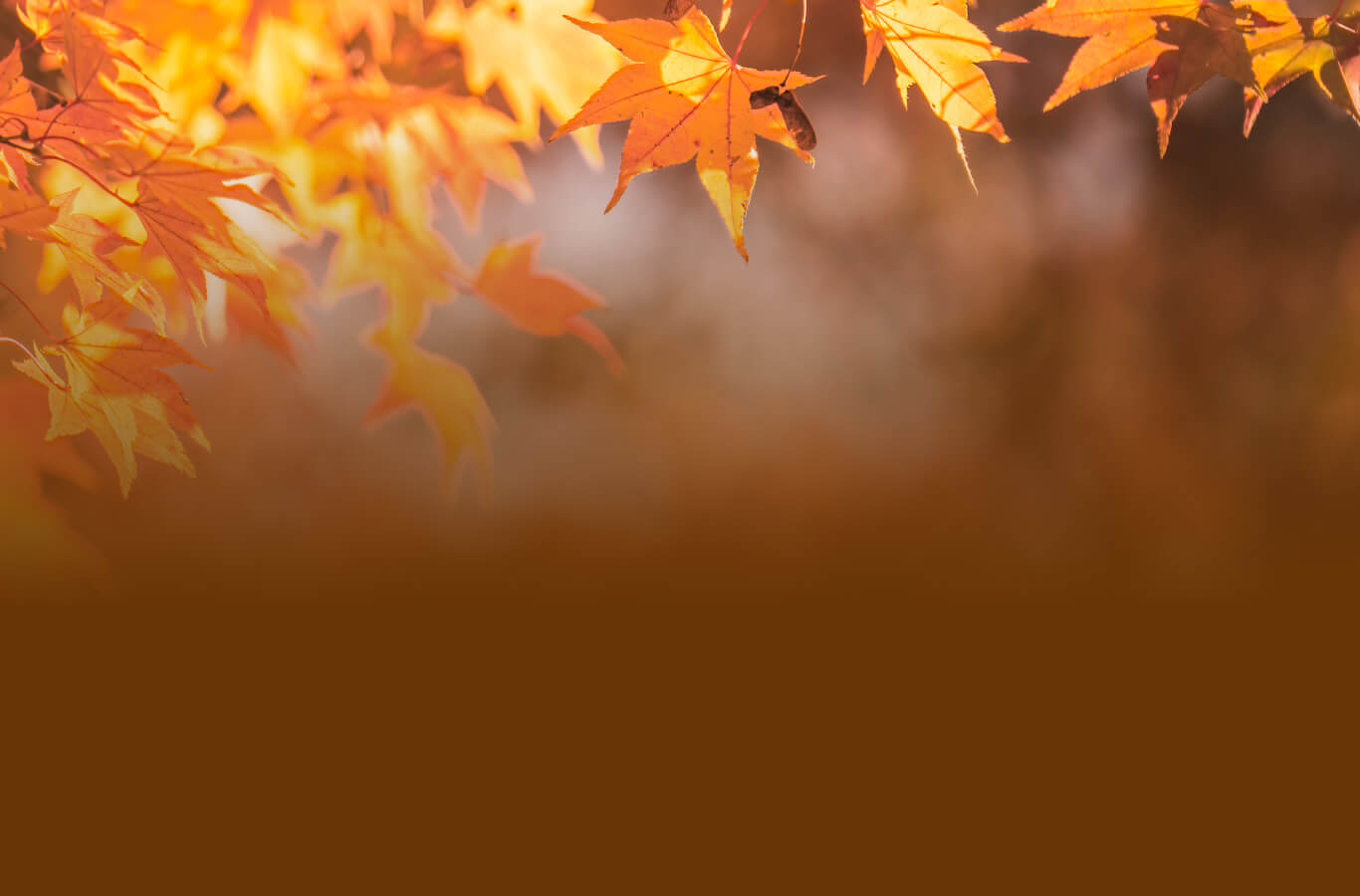 背景画像